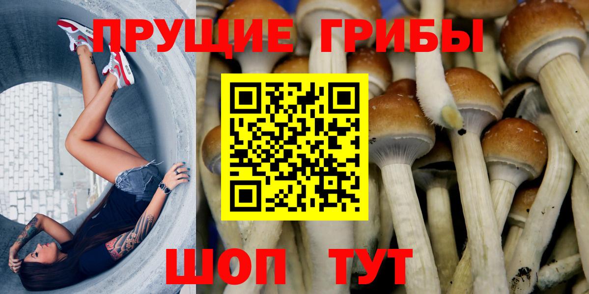 Дивногорск  Галлюциногенные грибы Magic Shrooms  Вход с VPN 